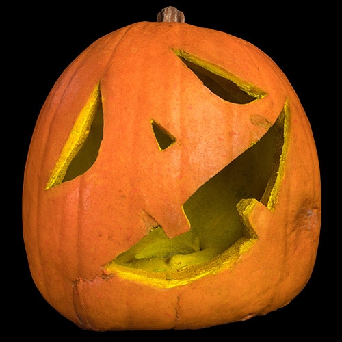 FOREVER PUMPKIN TWIX