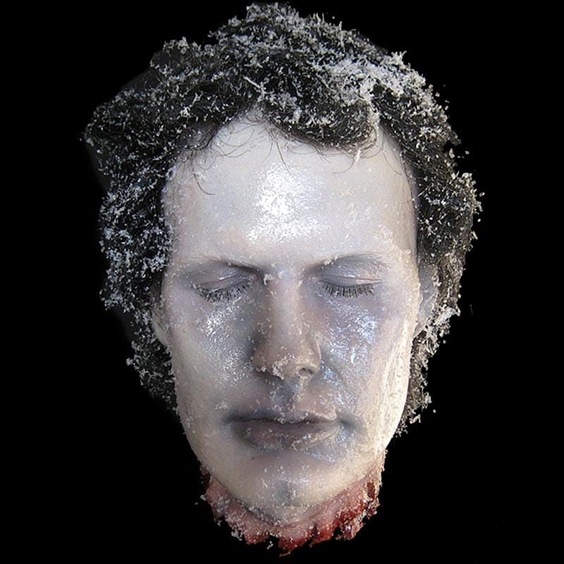 FRANK HEAD-FROZEN -w/HAIR