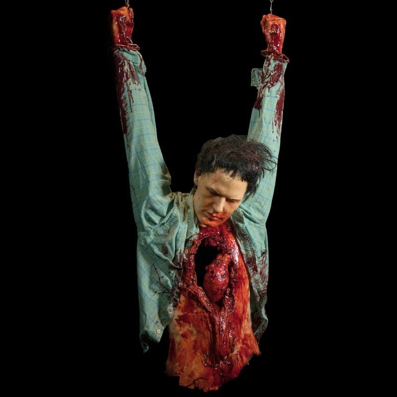 FRANK UPPER TORSO HEART ATTACK