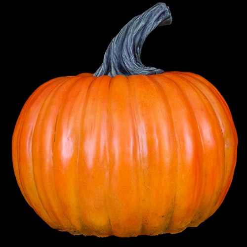 GIANT PUMPKIN