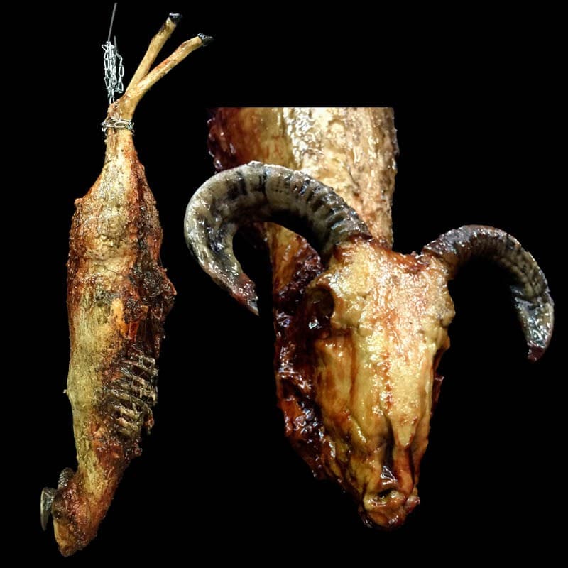 GOAT CARCASS RIB ROT