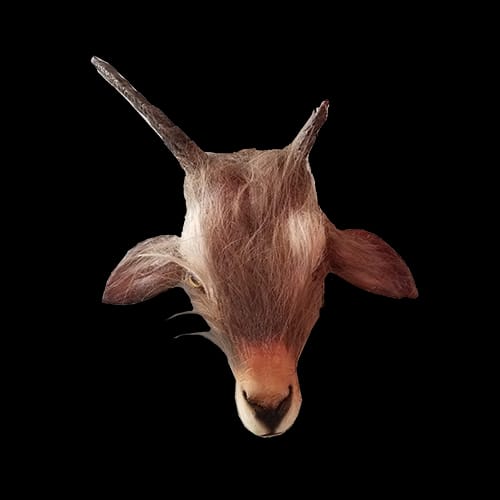 GOAT HEAD w/ BROKEN HORN – BROWN