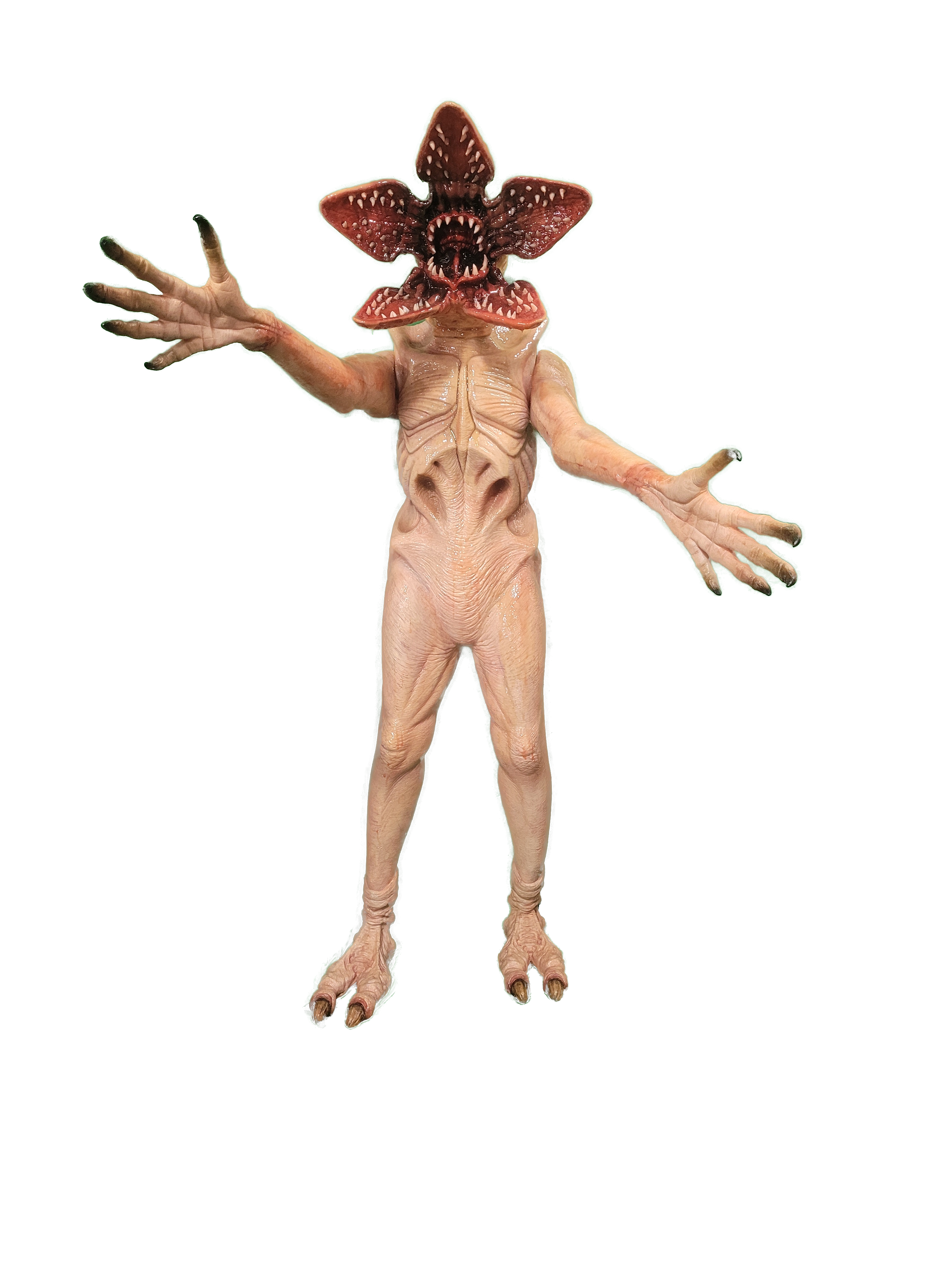 GORGON