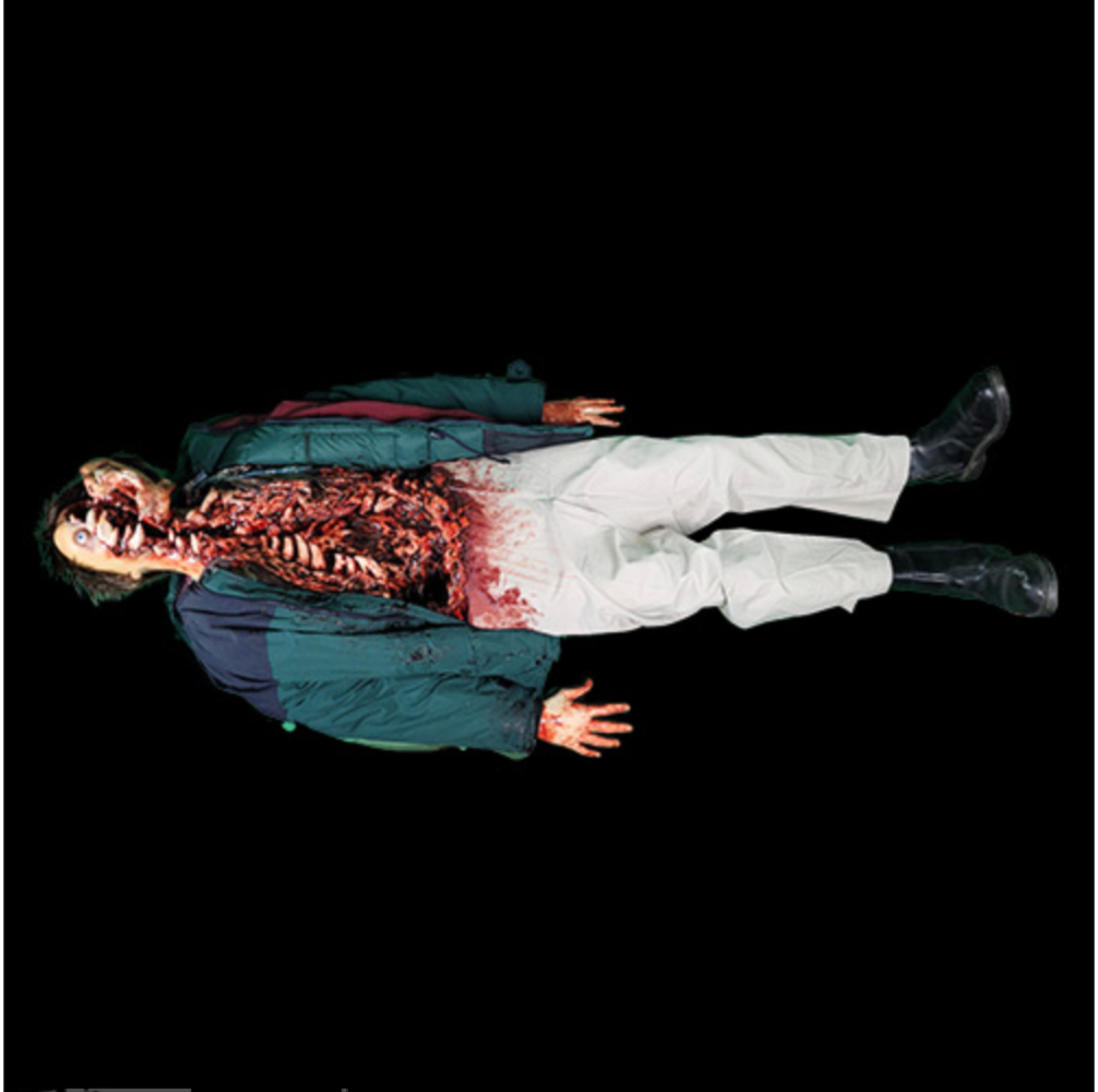 GRIGGS EVISCERATED, фото 2