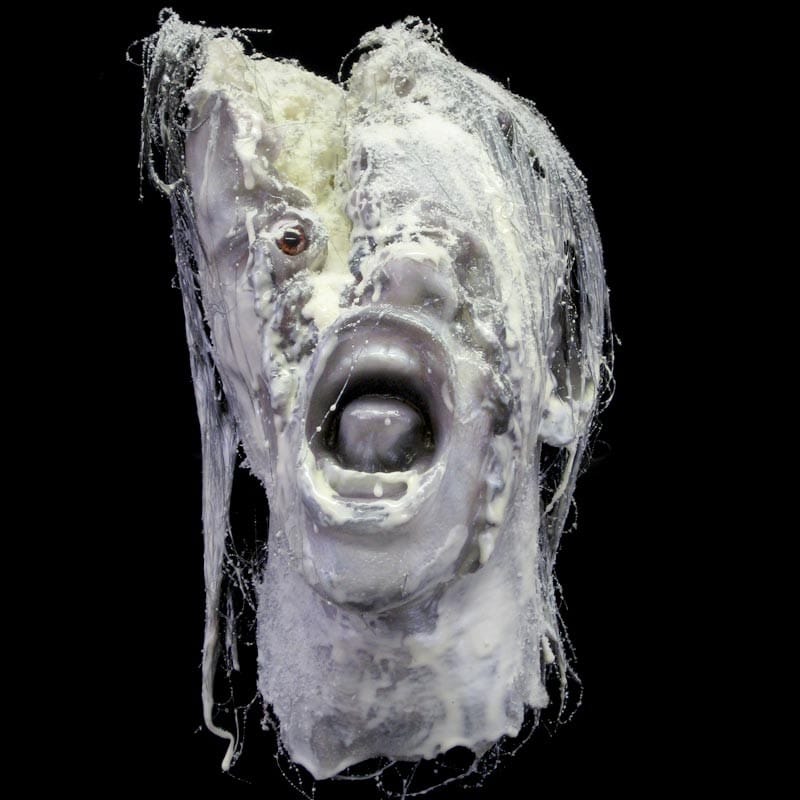 HAMMER HEAD-FROZEN
