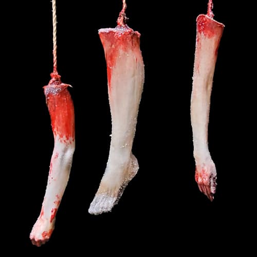 HANGING LIMBS – FROZEN