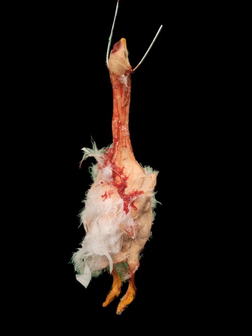HEN-WITH FEATHERS-BLOODY FINISH