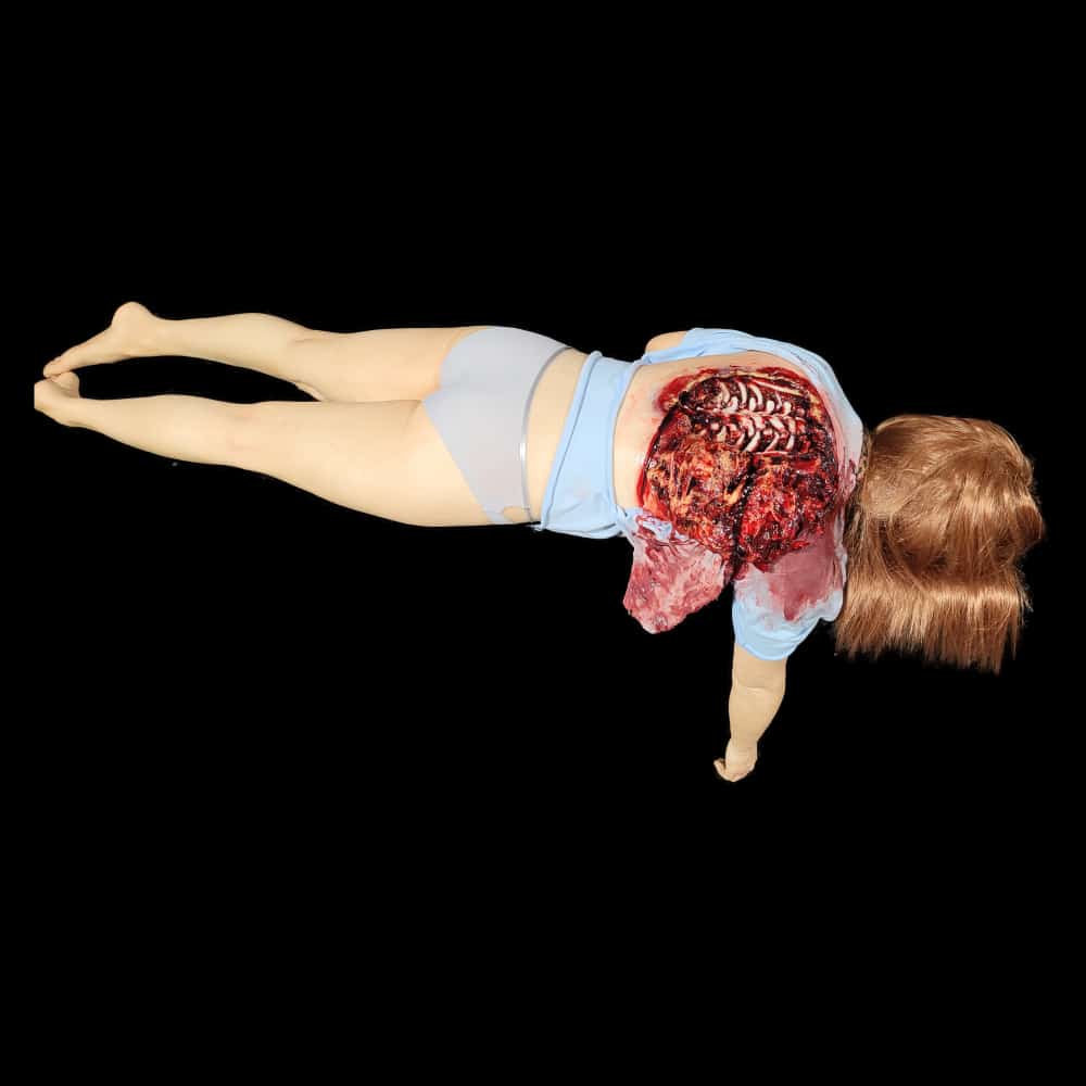 HOLLY SPINE