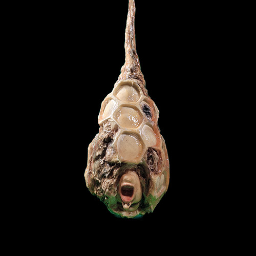 HONEY POD