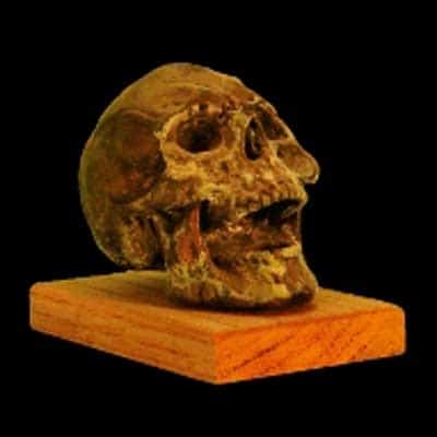 LARGE SKULL HAUNT AWARD-RUST FINISH