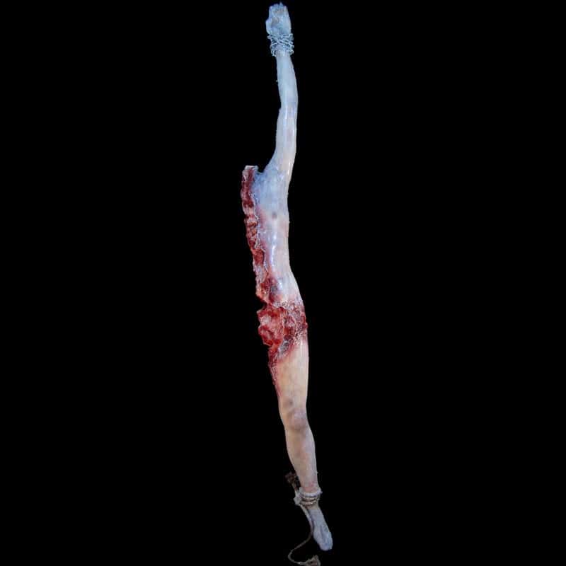 MALE BISECT BODY-HUNG FROM HAND-WITH CHAIN-FROZEN FINISH