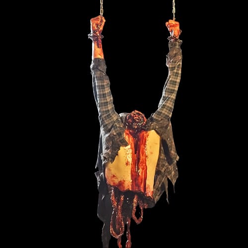 UPPER TORSO HEADLESS GUTS