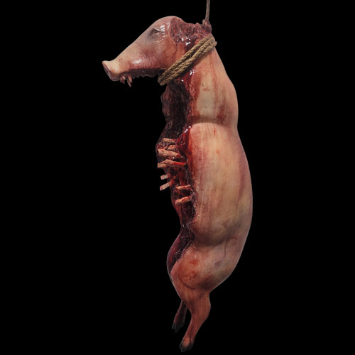 MED PIG RIB GUT