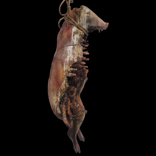 MED PIG RIB ROT BRAIN