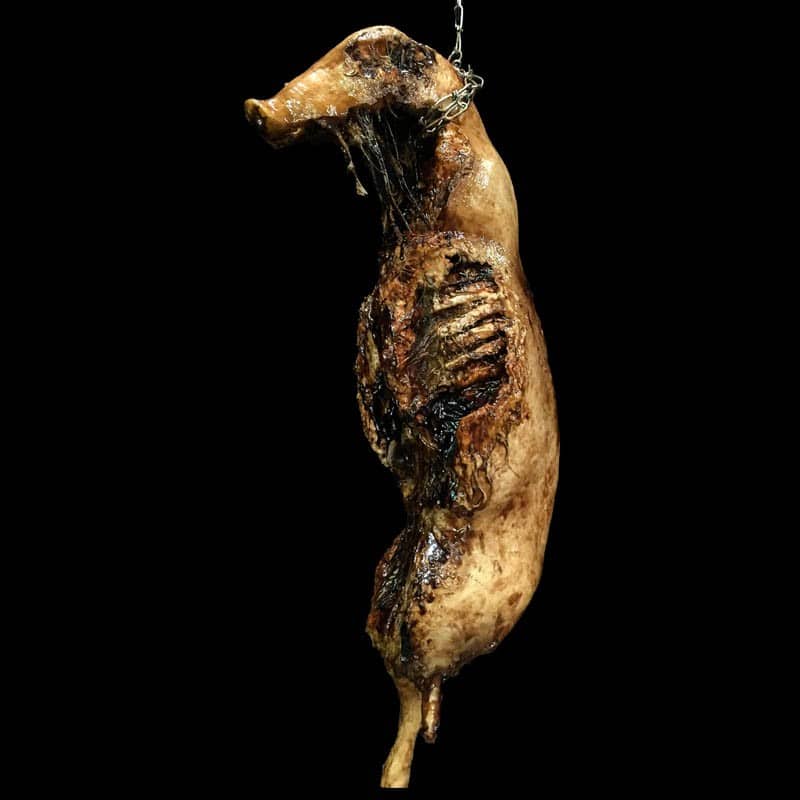 MED PIG RIB ROT CHAIN