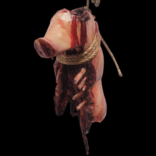 PIG MED UPPER RIB GUT BRAIN