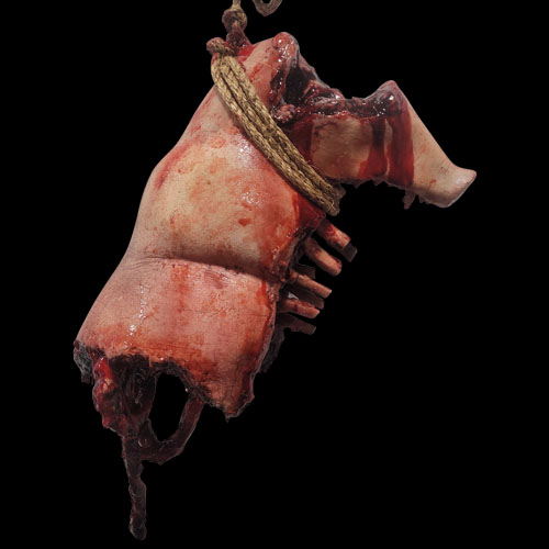 PIG MED UPPER RIB GUT BRAIN, фото 2