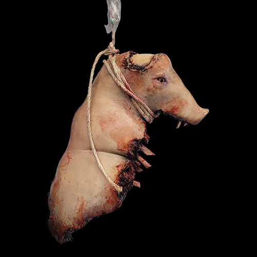 MEDIUM BLOODY PIG UPPER SKULL