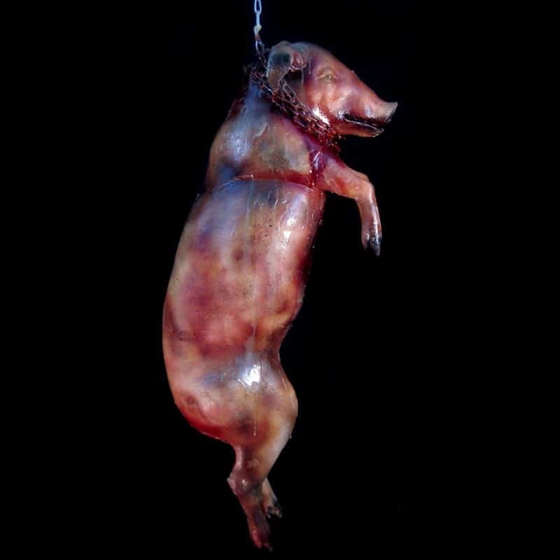 MEDIUM PIG-HANGING WITH CHAIN-ROTTED FINISH