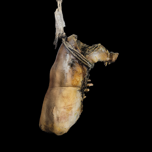 MEDIUM ROTTING PIG UPPER CAP