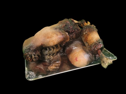 MINDI BODY ON TRAY – ROTTEN