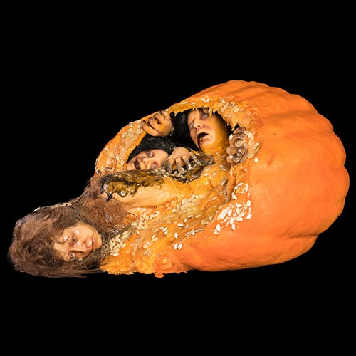 MINDI PORTAL PUMPKIN