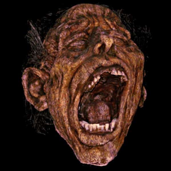 OPENED CORPSE HEAD