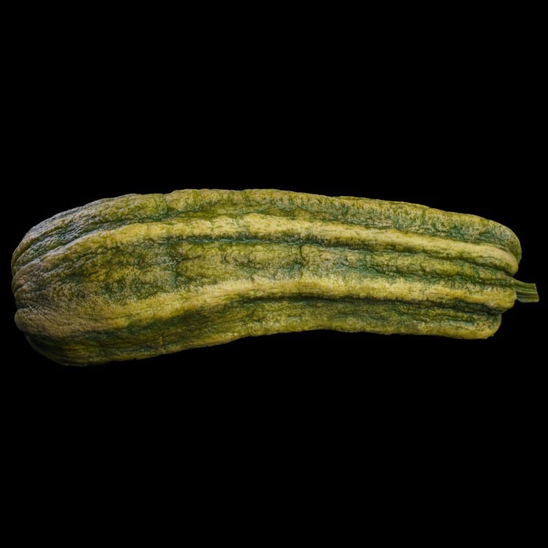 PICKLE- GREEN