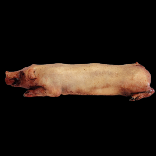 PIG FRESH ROAST