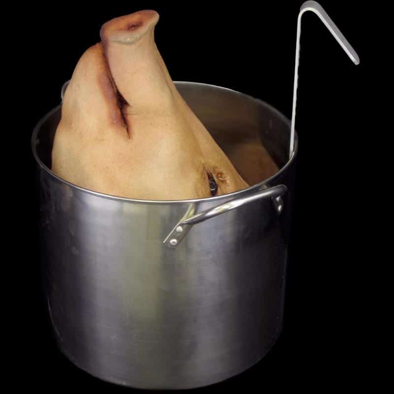 PIG-POT-BUBB