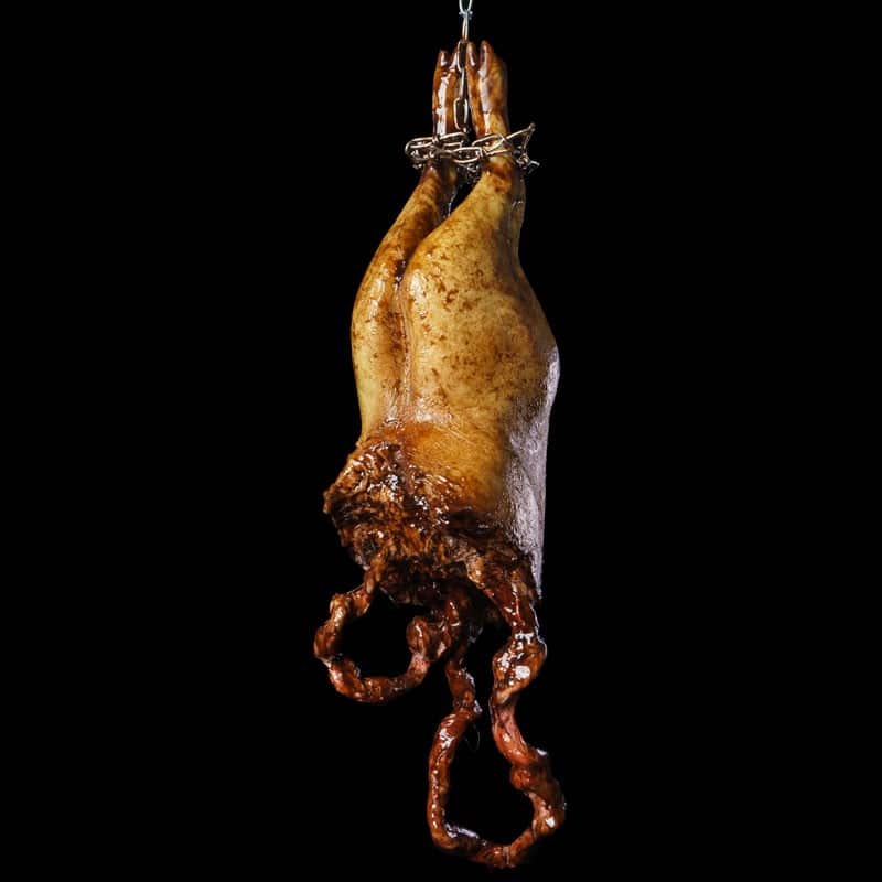 PIG LOWER TORSO ROTTEN