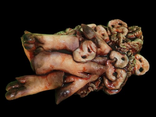 PIG SNOUTS & FEET