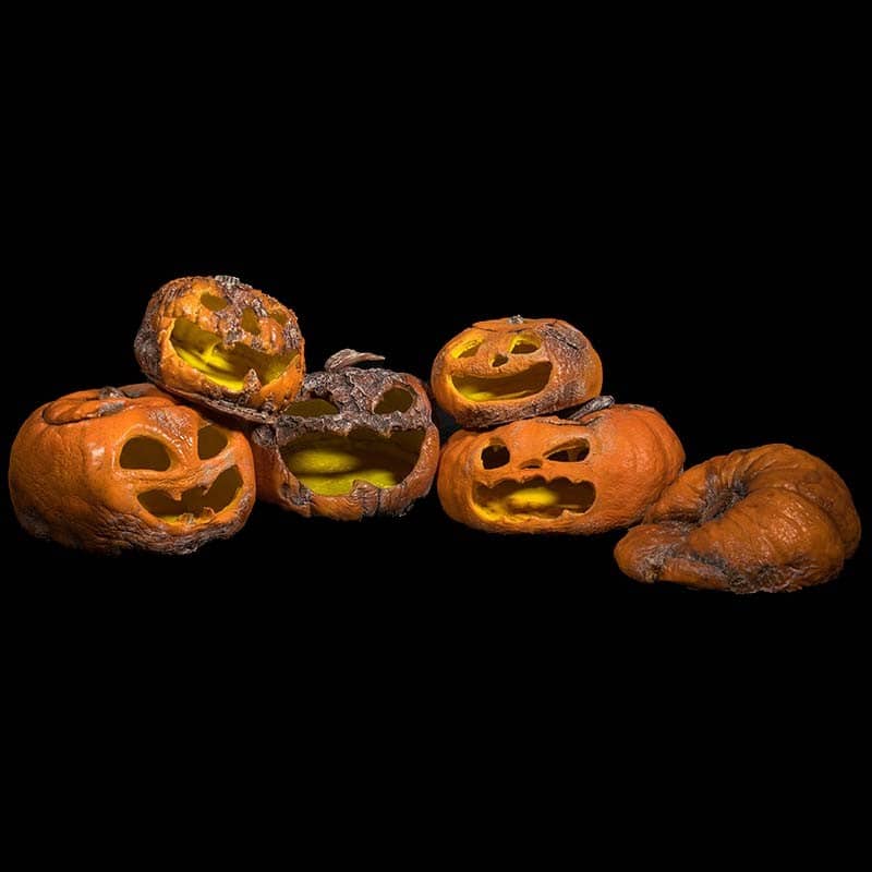 PORCH PUMPKINS 2018 – 6pc.