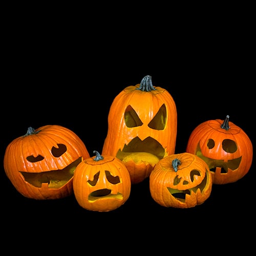 PORCH PUMPKINS 2020 SET 2