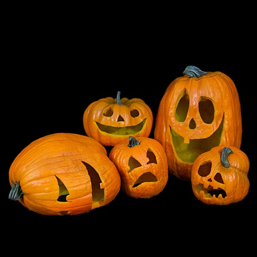 PORCH PUMPKINS 2020 SET 3