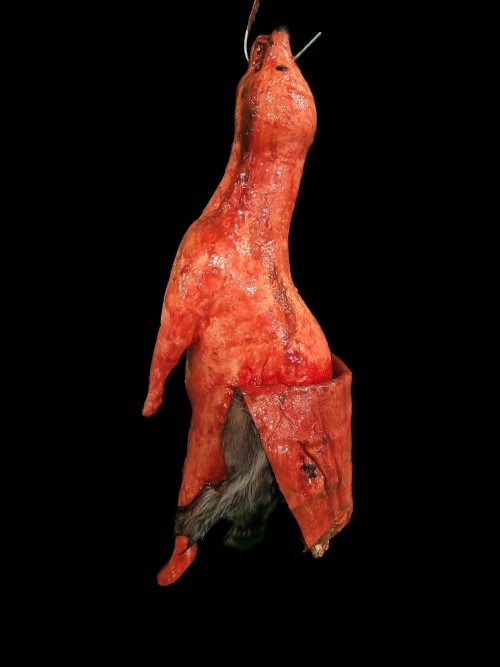 RACCOON-SKINNED-NATURAL TAIL AND PELT
