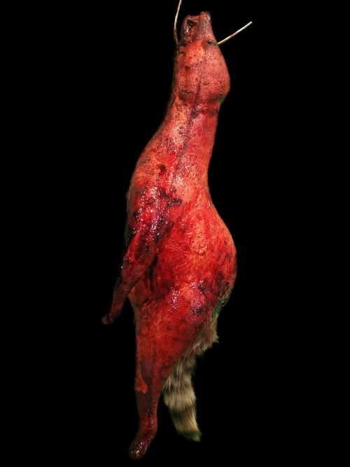 RACCOON-SKINNED-NATURAL TAIL