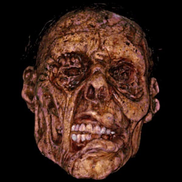ROT CORPSE HEAD