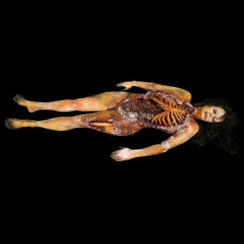 ROTTEN AUTOPSY VICKY RIB ACID