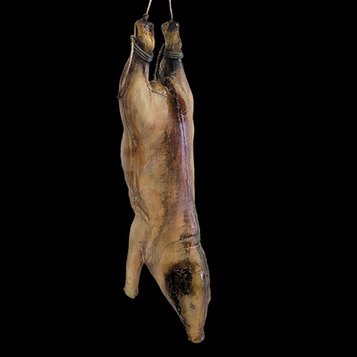 ROTTING GUTTED PIG
