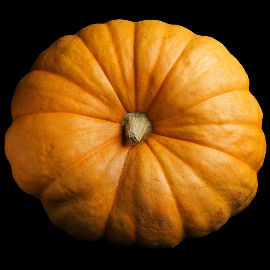 ROUND PUMPKIN 150#