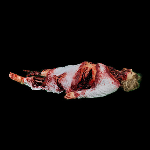 SERIAL KILLED