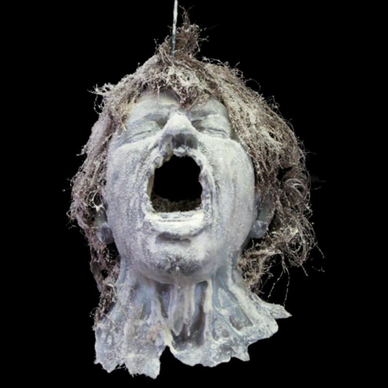SHOTGUN ROPE HEAD-FROZEN