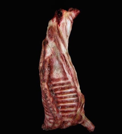 SIDE OF BEEF-FRESH FINISH