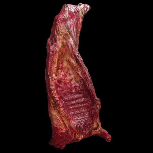 SIDE OF BEEF-ROTTED FINISH