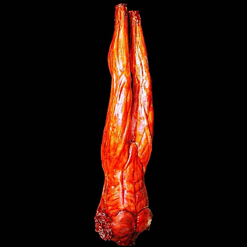 SKINNED MALE-FULL BODY-HUNG BY CHAIN