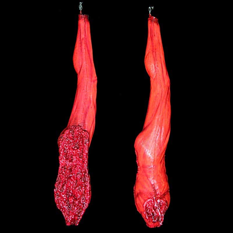 SKINNED MALE-HALF BODY-HUNG BY CHAIN