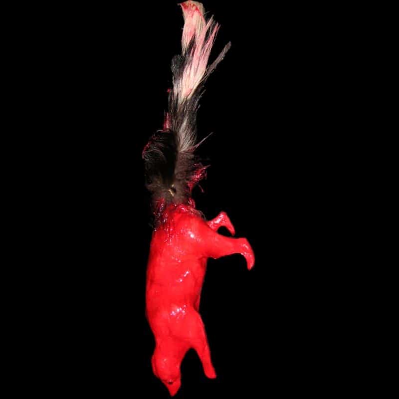 SKINNED SKUNK WITH NATURAL TAIL