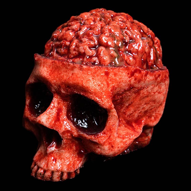 SKULL BRAIN