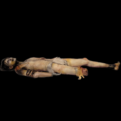 SLOTH AMPUTEE